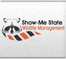 Show-Me Wildlife